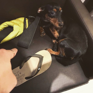 别舔骚逼了，受不了，要大鸡吧操
